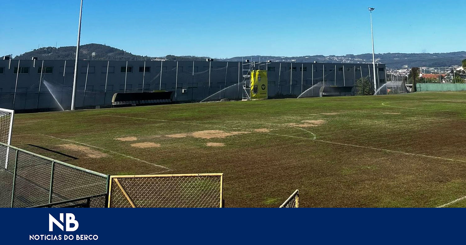 Relvado do Serzedelo alvo de intervenção