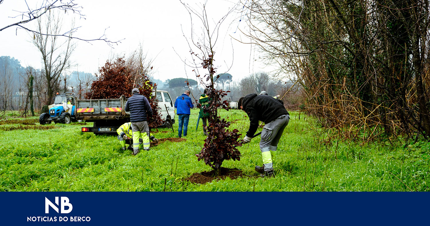 Barco e Caldelas mais verdes