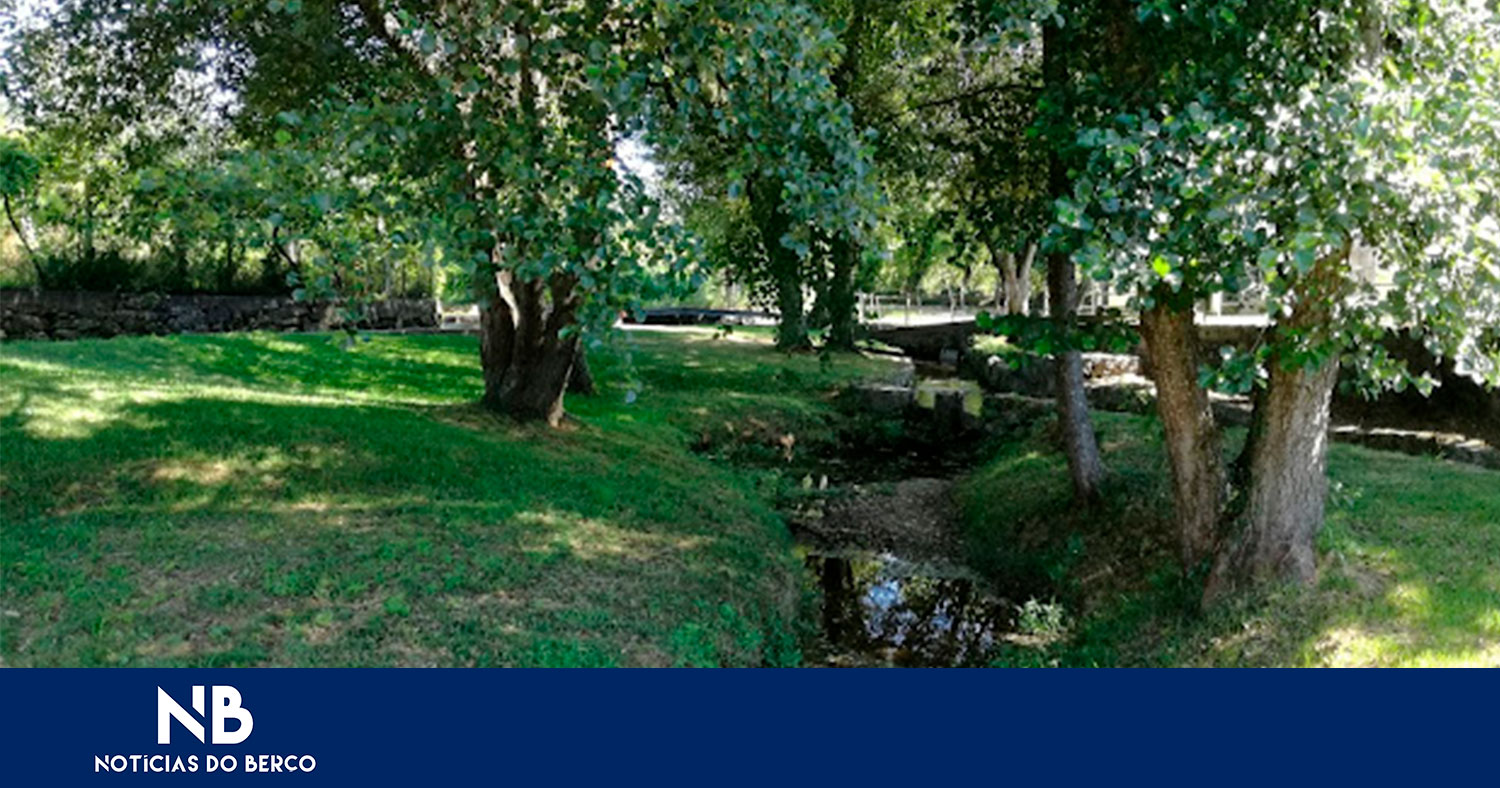 Ação comunitária de sensibilização ambiental e limpeza das margens do Rio Pele