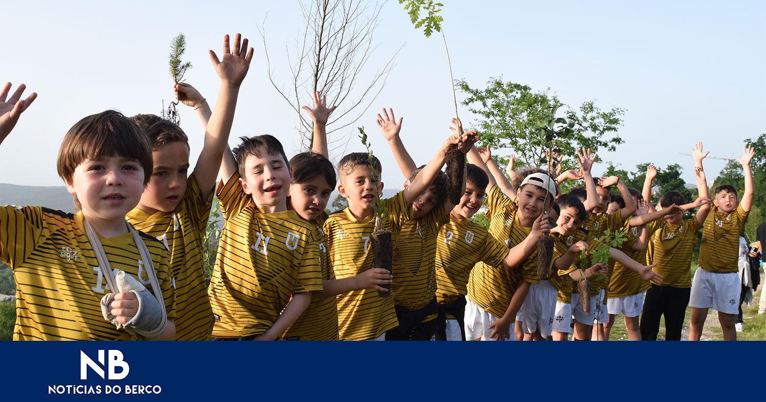 Crianças plantaram árvores e conquistaram pontos