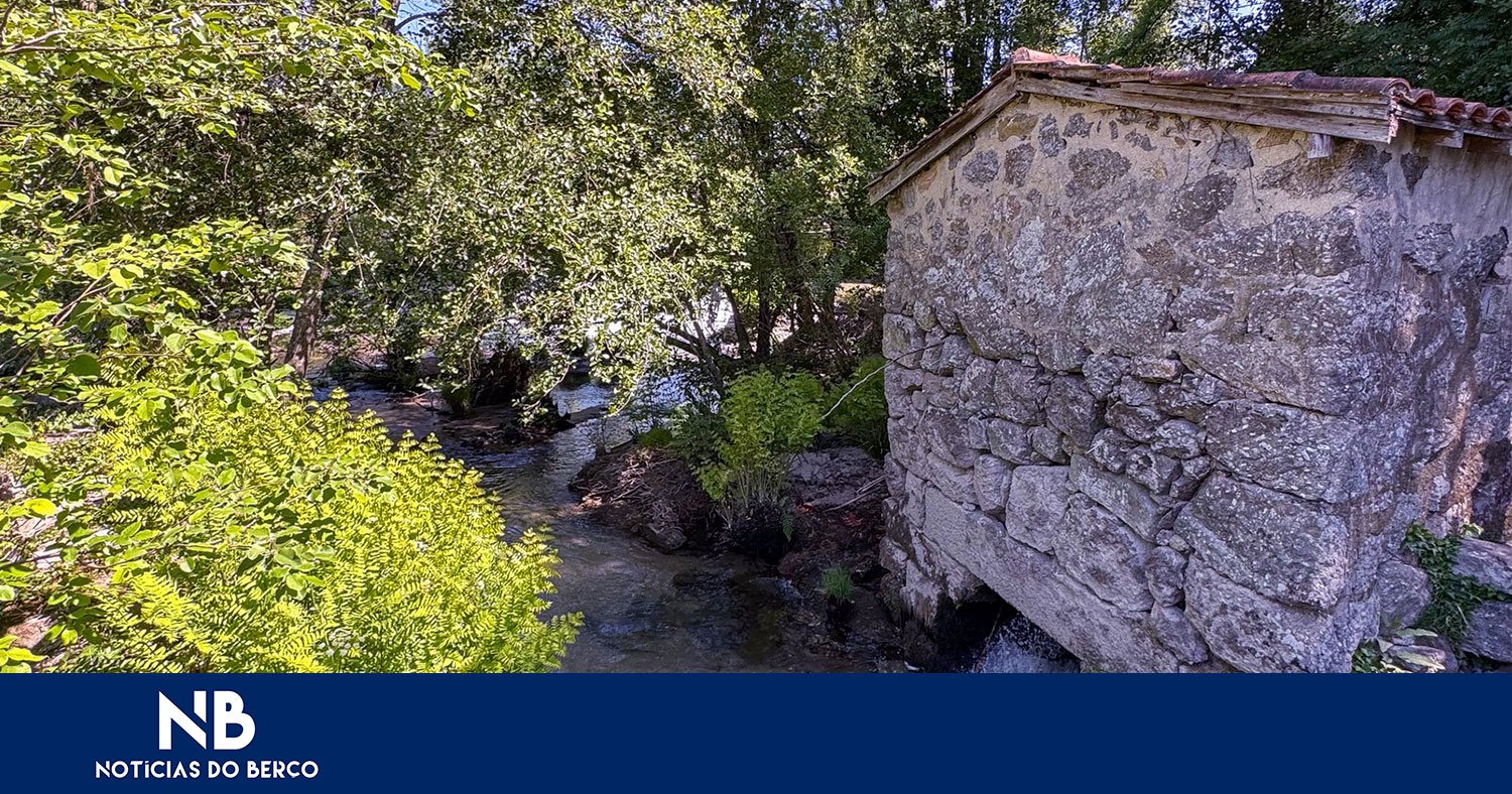 Rio Ave juntou cultura e natureza