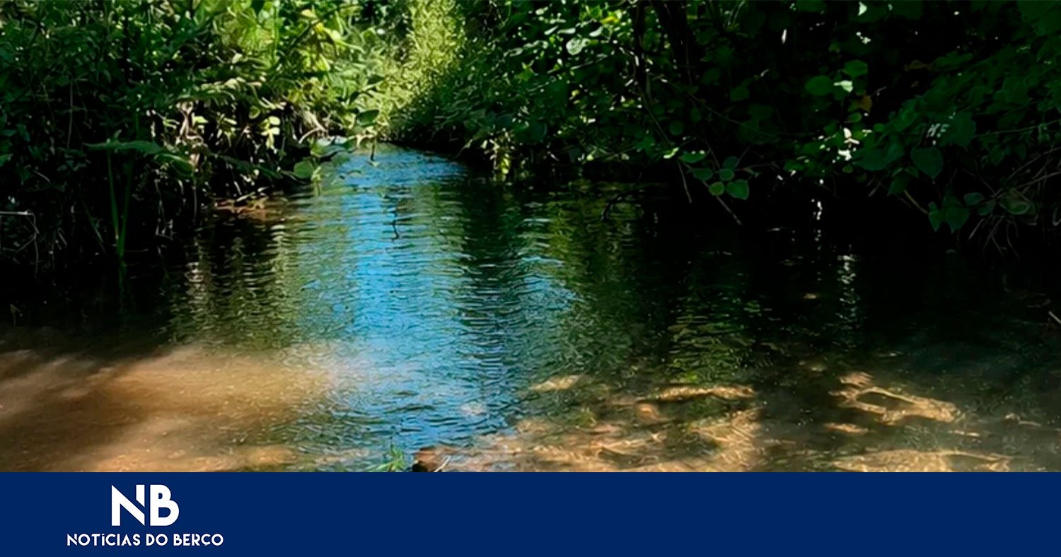 Serzedo promove atividade “À Descoberta da Ribeira da Cabra”