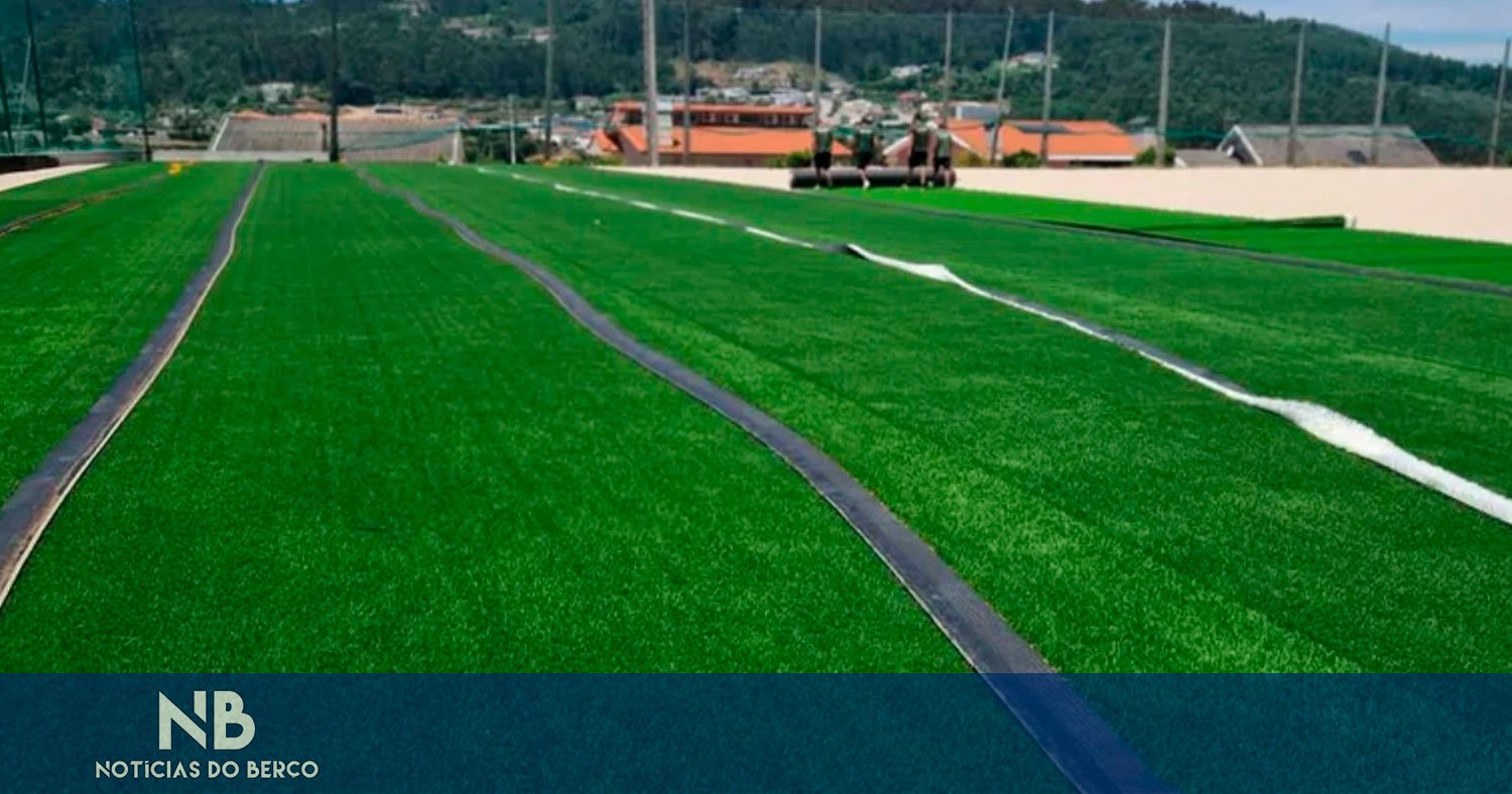 Conclusão do sintético torna sonho uma realidade