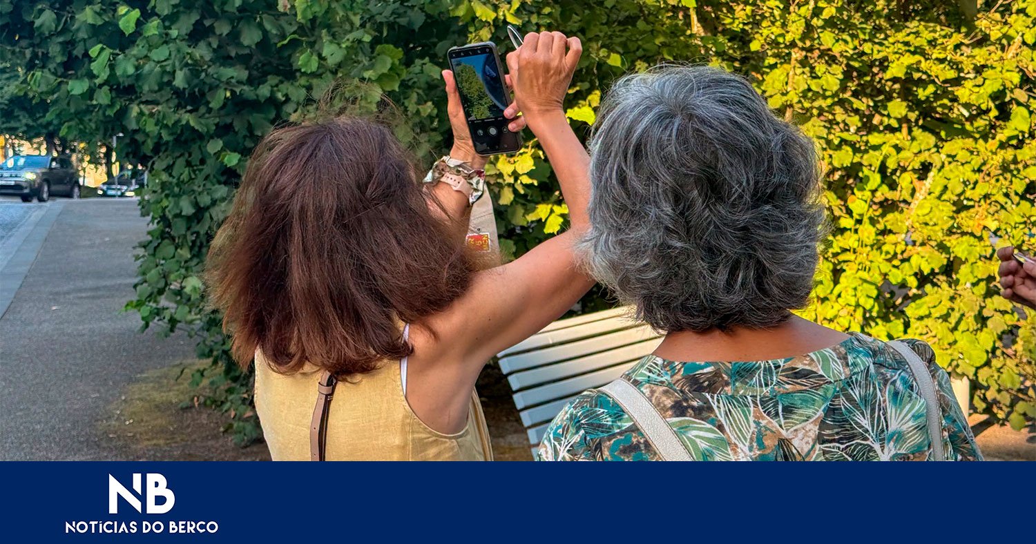 Vimaranenses encantados com o “Caminhadas refleƆtion”