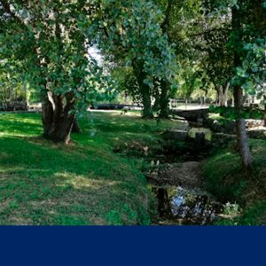 Ação comunitária de sensibilização ambiental e limpeza das margens do Rio Pele