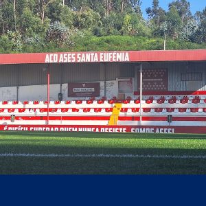 Cerqueira será reforço do Ases para a nova época