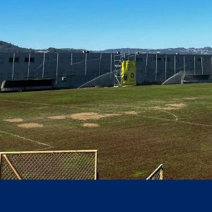 Relvado do Serzedelo alvo de intervenção