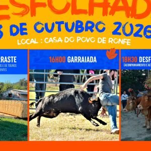 Desfolhada na Vila de Ronfe