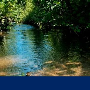 Serzedo promove atividade “À Descoberta da Ribeira da Cabra”