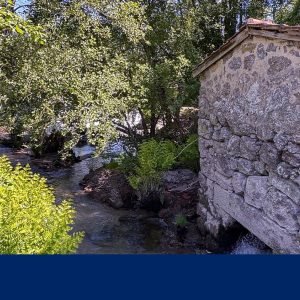 Rio Ave juntou cultura e natureza